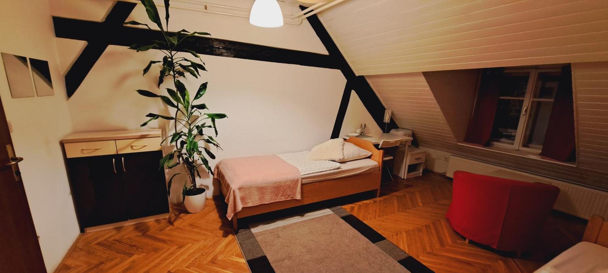 Viksi Hostel Ljubljana Rom bilde